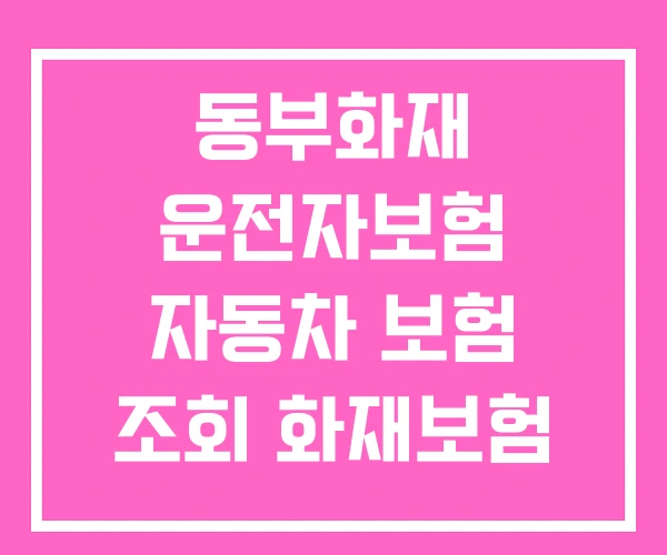 동부화재 운전자보험 자동차 보험 조회 화재보험