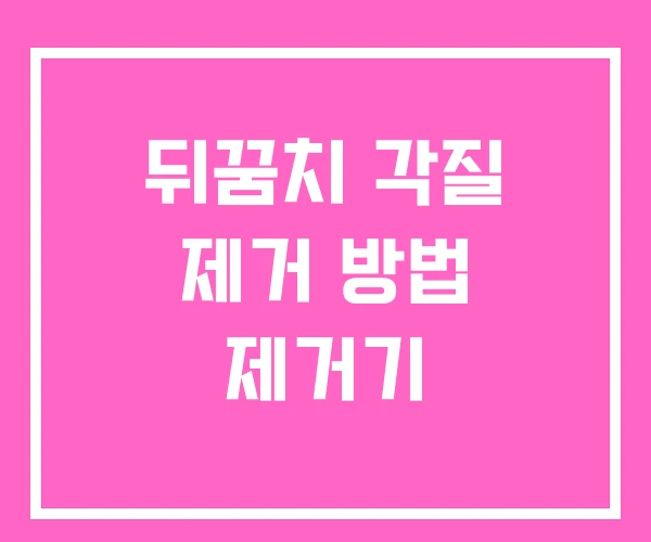 뒤꿈치 각질 제거 방법 제거기