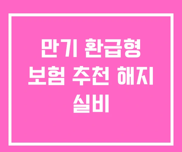 만기 환급형 보험 추천 해지 실비