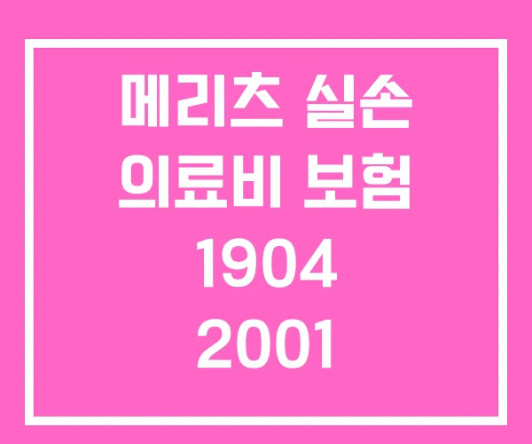 메리츠 실손 의료비 보험 1904 2001 2005 메리츠 실손 의료비 보험 1904 2001 2005