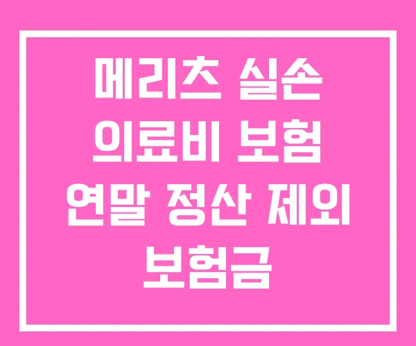 메리츠 실손 의료비 보험 연말 정산 제외 보험금