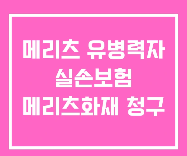 메리츠 유병력자 실손보험 메리츠화재 청구