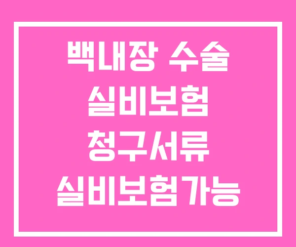 백내장 수술 실비보험 청구서류 실비보험가능 알아보기 실비보험단초점다초점 백내장 수술 실비보험 청구서류 실비보험가능 알아보기 실비보험단초점다초점