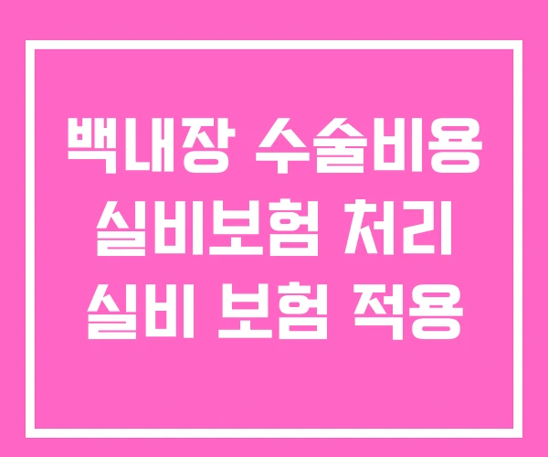 백내장 수술비용 실비보험 처리 실비 보험 적용