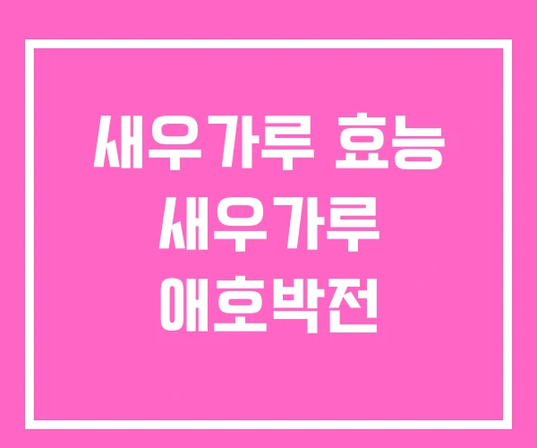 새우가루 효능 새우가루 애호박전