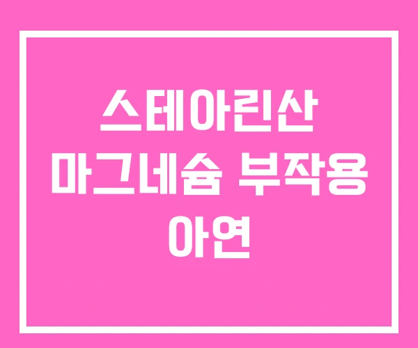 스테아린산 마그네슘 부작용 아연