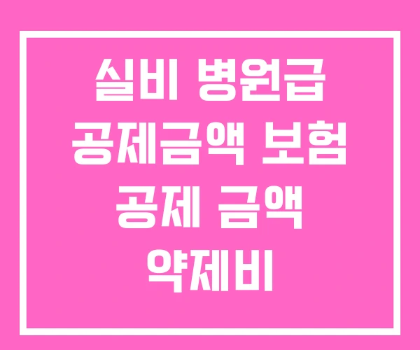 실비 병원급 공제금액 보험 공제 금액 약제비 실비 병원급 공제금액 보험 공제 금액 약제비