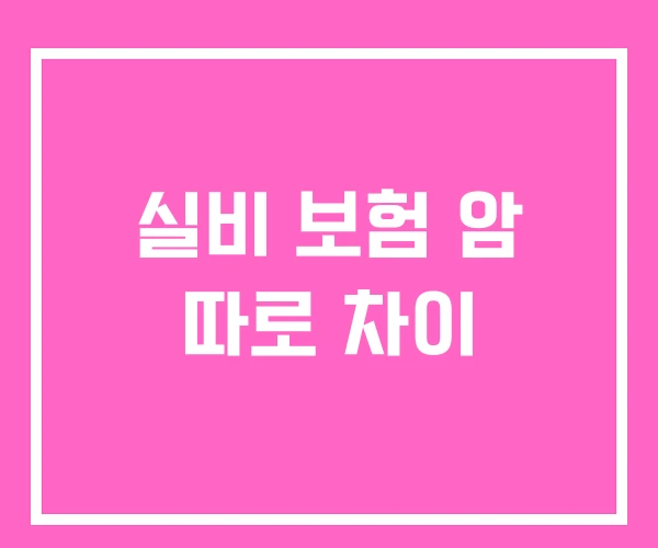 실비 보험 암 따로 차이 실비 보험 암 따로 차이