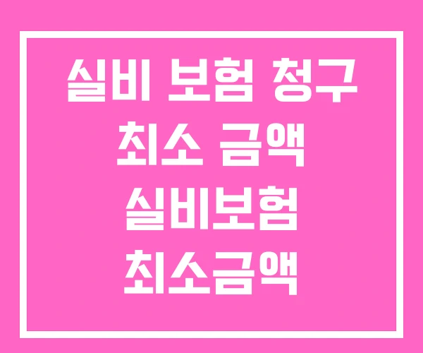 실비 보험 청구 최소 금액 실비보험 최소금액