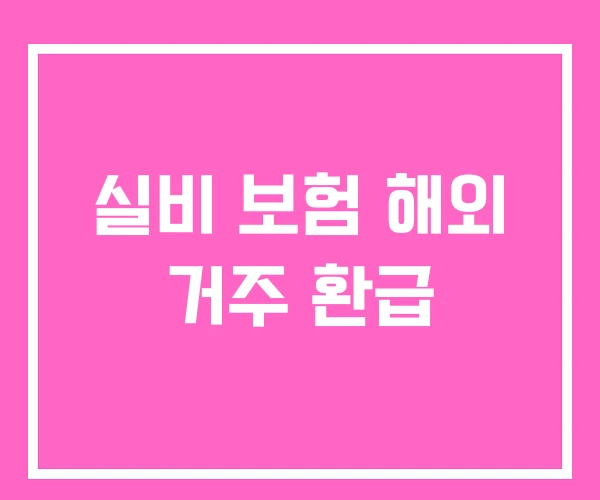 실비 보험 해외 거주 환급 실비 보험 해외 거주 환급