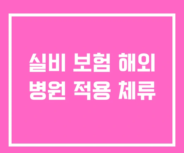 실비 보험 해외 병원 적용 체류 실비 보험 해외 병원 적용 체류