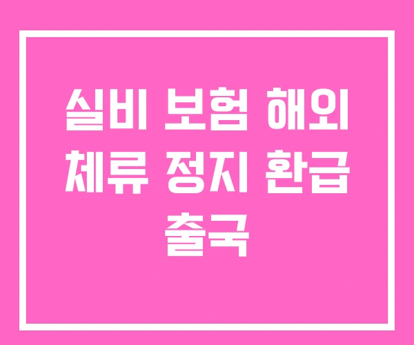 실비 보험 해외 체류 정지 환급 출국 실비 보험 해외 체류 정지 환급 출국