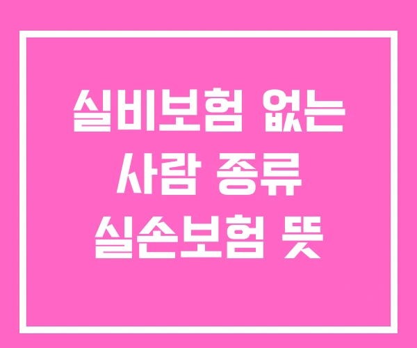 실비보험 없는 사람 종류 실손보험 뜻