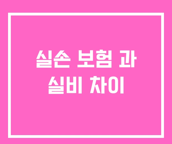 실손 보험 과 실비 차이 실손 보험 과 실비 차이
