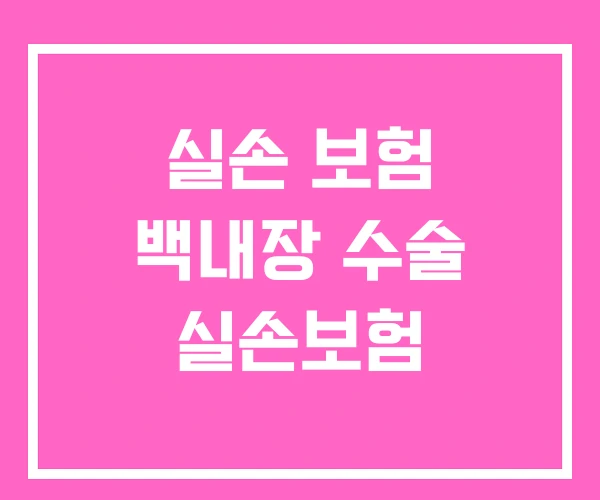 실손 보험 백내장 수술 실손보험