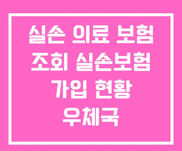실손 의료 보험 조회 실손보험 가입 현황 우체국