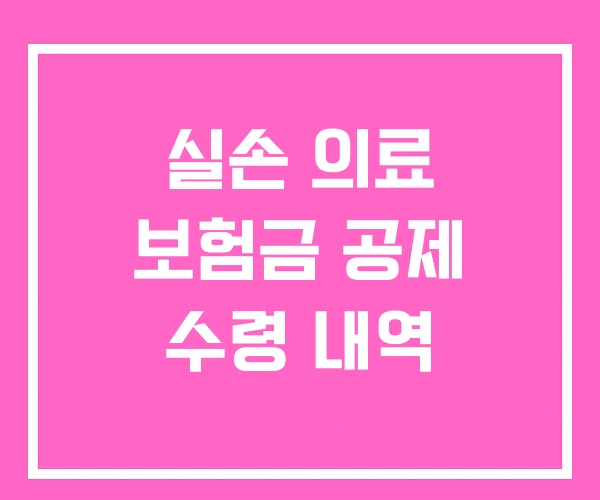 실손 의료 보험금 공제 수령 내역
