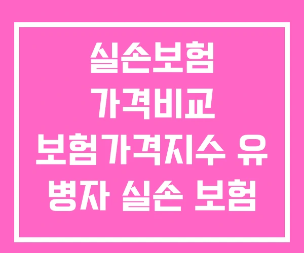 실손보험 가격비교 보험가격지수 유 병자 실손 보험 가격