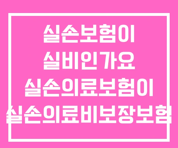 실손보험이 실비인가요 실손의료보험이 실손의료비보장보험 실비 실손보험이 실비인가요 실손의료보험이 실손의료비보장보험 실비