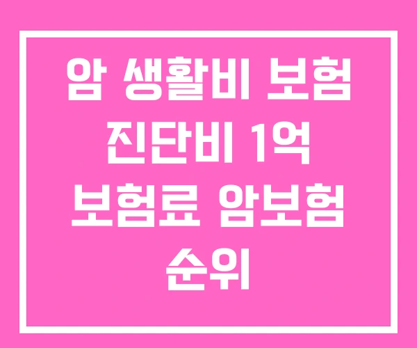 암 생활비 보험 진단비 1억 보험료 암보험 순위