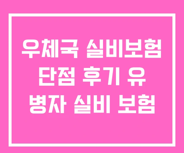 우체국 실비보험 단점 후기 유 병자 실비 보험