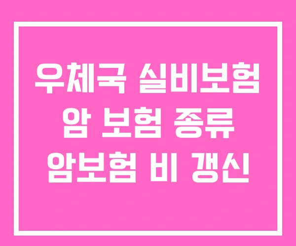 우체국 실비보험 암 보험 종류 암보험 비 갱신 우체국 실비보험 암 보험 종류 암보험 비 갱신