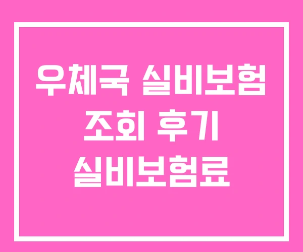 우체국 실비보험 조회 후기 실비보험료 우체국 실비보험 조회 후기 실비보험료