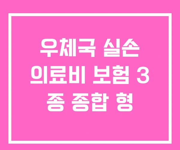 우체국 실손 의료비 보험 3 종 종합 형 우체국 실손 의료비 보험 3 종 종합 형