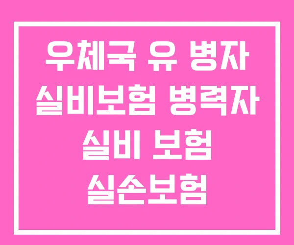 우체국 유 병자 실비보험 병력자 실비 보험 실손보험