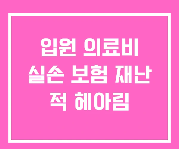 입원 의료비 실손 보험 재난 적 헤아림