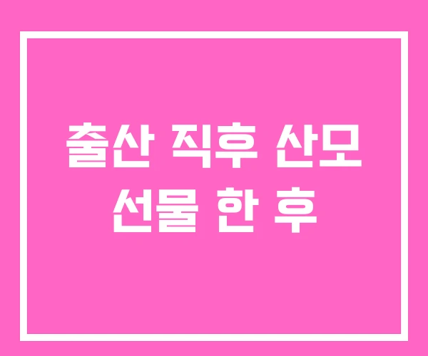 출산 직후 산모 선물 한 후 출산 직후 산모 선물 한 후