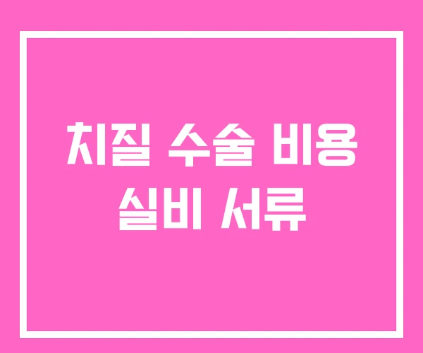 치질 수술 비용 실비 서류