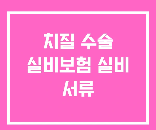 치질 수술 실비보험 실비 서류 치질 수술 실비보험 실비 서류