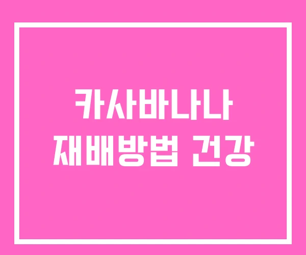 카사바나나 재배방법 건강 카사바나나 재배방법 건강