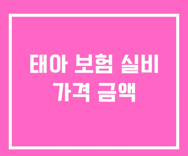 태아 보험 실비 가격 금액 태아 보험 실비 가격 금액