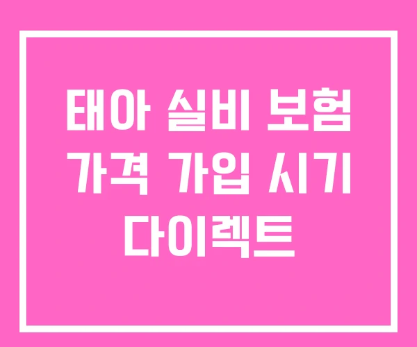 태아 실비 보험 가격 가입 시기 다이렉트