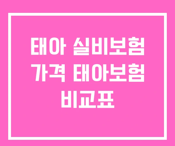태아 실비보험 가격 태아보험 비교표