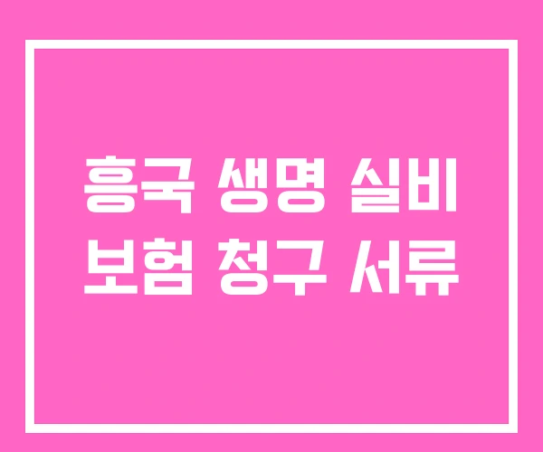 흥국 생명 실비 보험 청구 서류