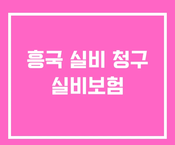 흥국 실비 청구 실비보험