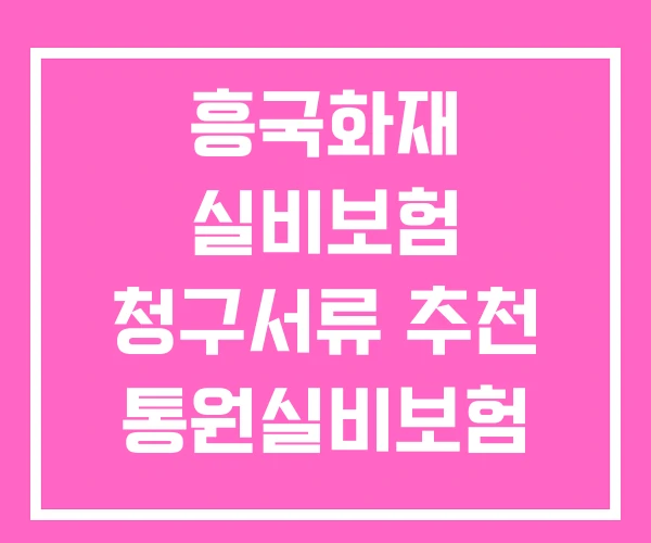 흥국화재 실비보험 청구서류 추천 통원실비보험 흥국화재 실비보험 청구서류 추천 통원실비보험