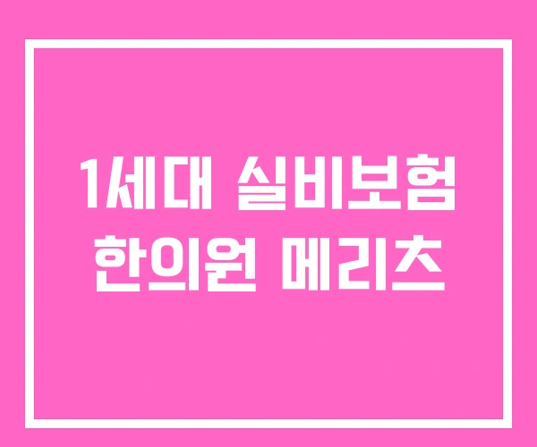 1세대 실비보험 한의원 메리츠