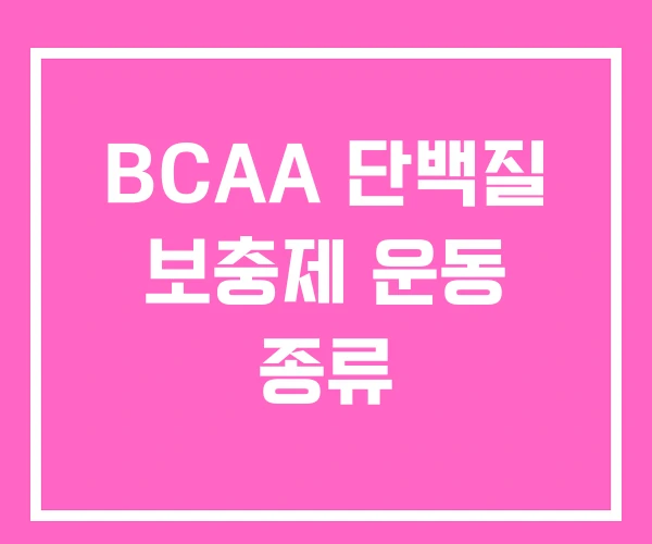 BCAA 단백질 보충제 운동 종류 BCAA 단백질 보충제 운동 종류