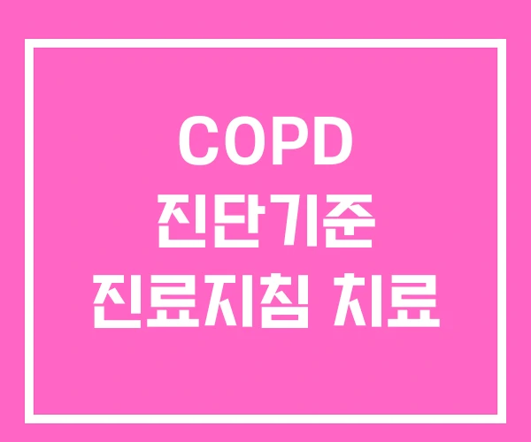 COPD 진단기준 진료지침 치료 COPD 진단기준 진료지침 치료