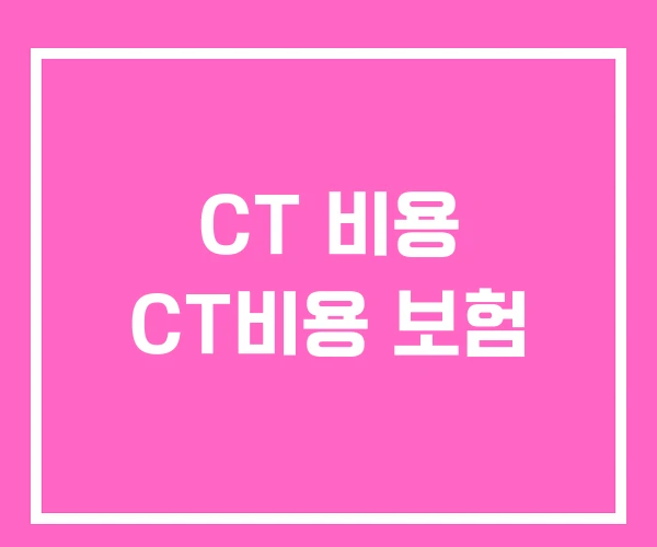 CT 비용 CT비용 보험 CT 비용 CT비용 보험