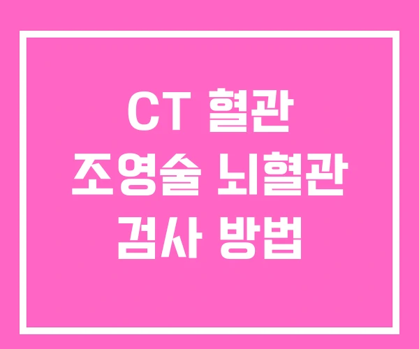 CT 혈관 조영술 뇌혈관 검사 방법 CT 혈관 조영술 뇌혈관 검사 방법