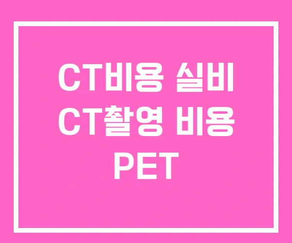CT비용 실비 CT촬영 비용 PET CT비용 실비 CT촬영 비용 PET