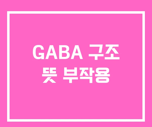 GABA 구조 뜻 부작용