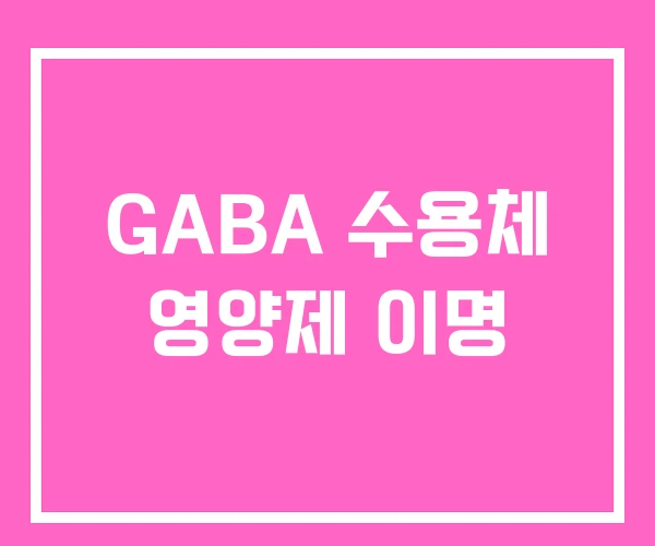 GABA 수용체 영양제 이명