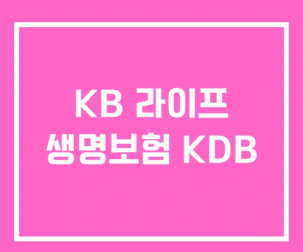 KB 라이프 생명보험 KDB KB 라이프 생명보험 KDB