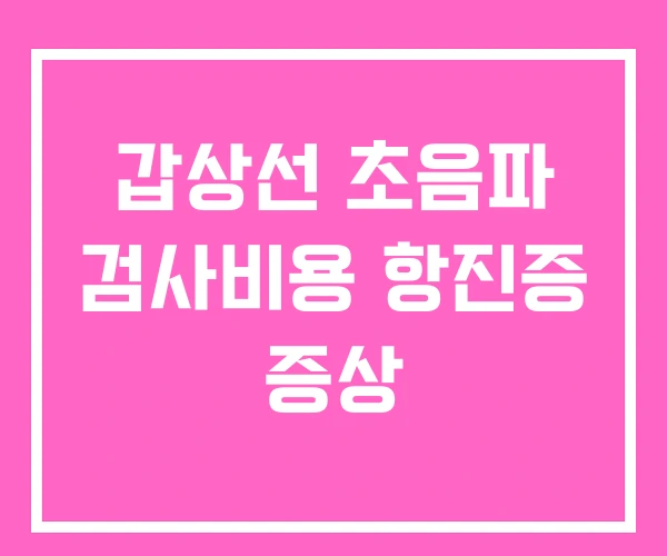 갑상선 초음파 검사비용 항진증 증상
